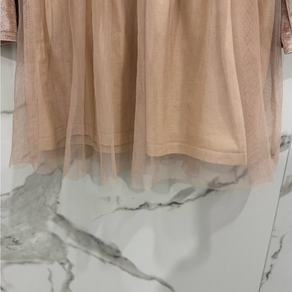 Zara Girls Velvet Tull Dress in Light Pink - Picture 5 of 5